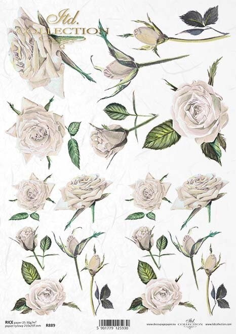 Roses Background White ITD Collection decoupage paper | Size A4 - 210x297 mm | 8.27x11.7 in | paper weight 30-35 gsm R0889