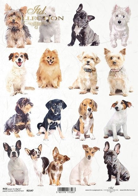 Dogs ITD Collection Decoupage Paper | Size A4 - 210x297 mm | 8.27x11.7 in | paper weight 30-35 gsm