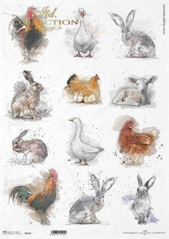 Farm Animals ITD Collection decoupage paper | Size A3 420x297 mm | 16.5inch x 11.7inch | Paper Weight 30 gsm2 R0532L