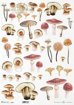 mysterious forest - mushrooms ITD Collection decoupage paper | Size A3 420x297 mm | 16.5inch x 11.7inch | Paper Weight 30 gsm2 R0987L