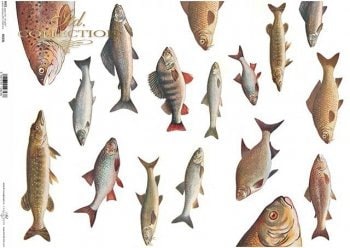Fish ITD Collection decoupage paper | Size A3 420x297 mm | 16.5inch x 11.7inch | Paper Weight 30 gsm2 R0028L
