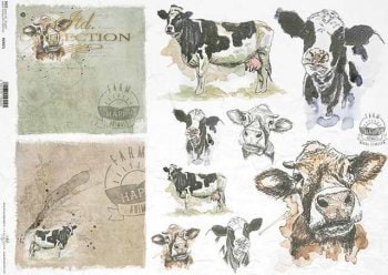 Cows ITD Collection decoupage paper | Size A3 420x297 mm | 16.5inch x 11.7inch | Paper Weight 30 gsm2 R0407L