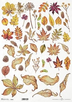Fall Leaves ITD Collection decoupage paper | Size A3 420x297 mm | 16.5inch x 11.7inch | Paper Weight 30 gsm2 R0960L