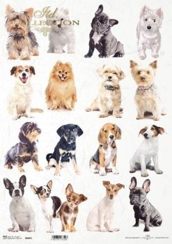 Dogs ITD Collection decoupage paper | Size A3 420x297 mm | 16.5inch x 11.7inch | Paper Weight 30 gsm2 R0987L