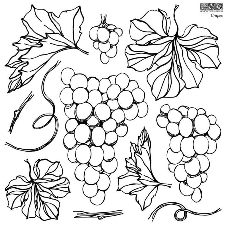 Grapes 12 X 12  IOD stamp 2 sheets - by Iron Orchid Designs